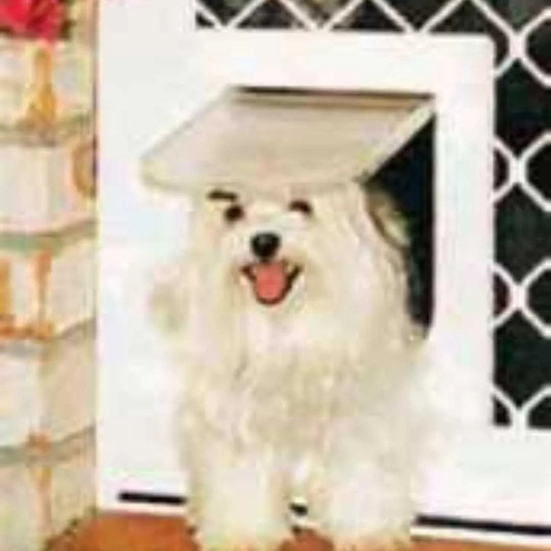 Small pet security screen door